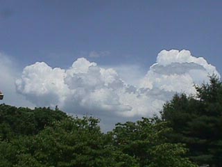img-harvard_forest-nitrogen_deposition-1.jpeg