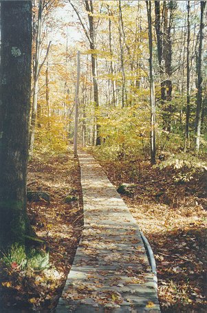 img-harvard_forest-site.jpg