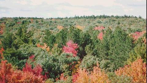 img-data_resources-exhibit-home-1.jpg