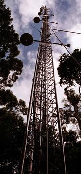 img-data_resources-harvard_forest_data_archive_exchange-lbadata.jpeg