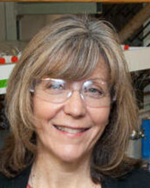 Kristie Boering